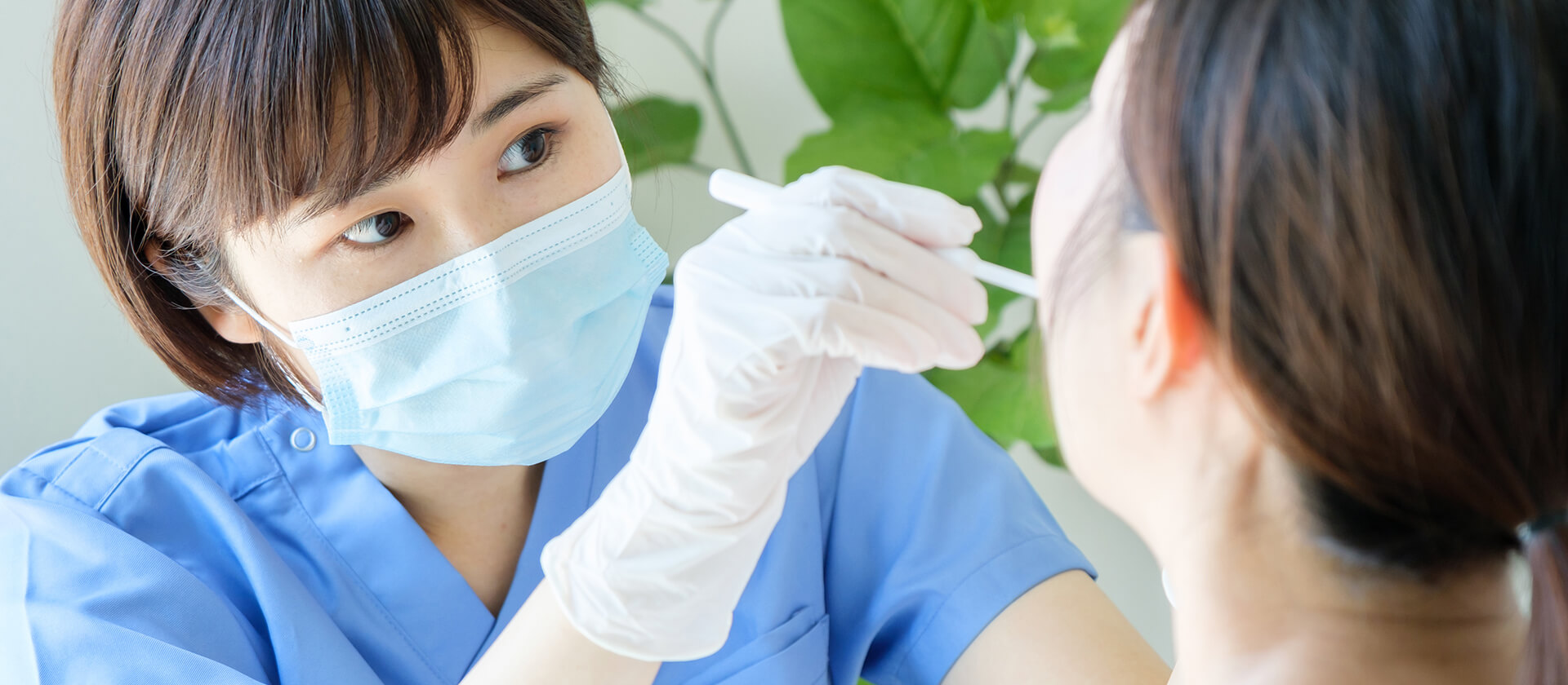 メインビジュアル2